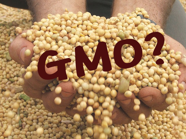 GMO 통합고시.jpg